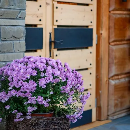 Villa Labowska - Basen, Sauna, Grota Solna